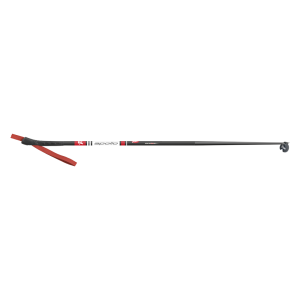Children’s ski poles Rex APOLLO